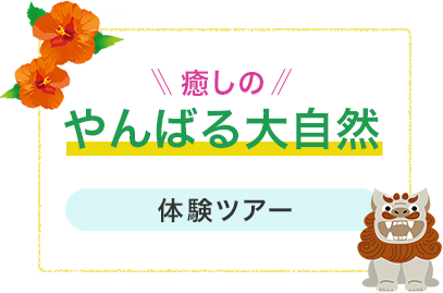 沖縄県国頭郡のあまんだまん 大自然体験ツアー